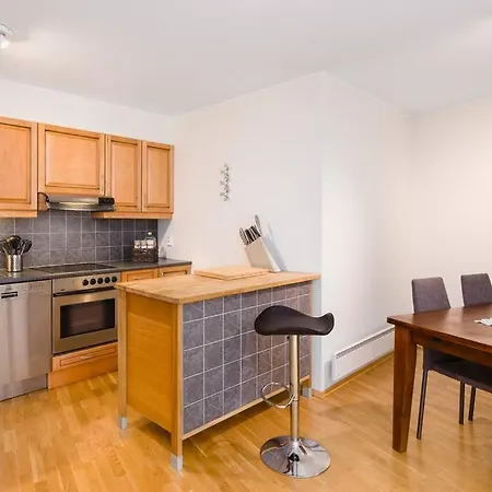 Appartement Spacious, Modern Apt, Central Location, Sleeps 7 Bergen